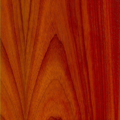 padauk